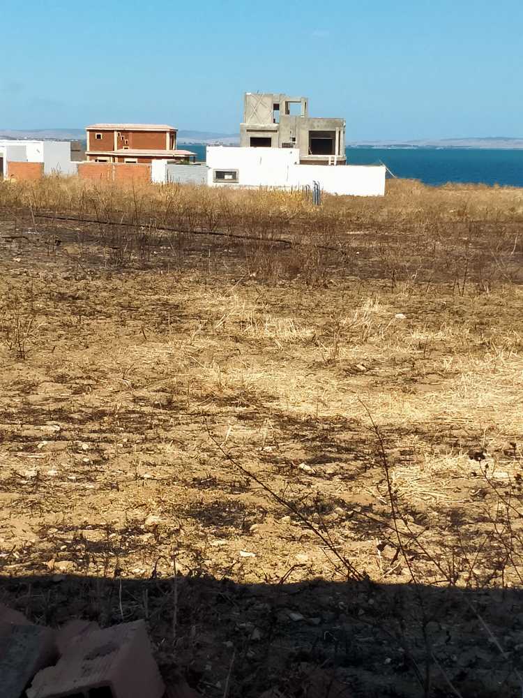 Photo 1 of 2