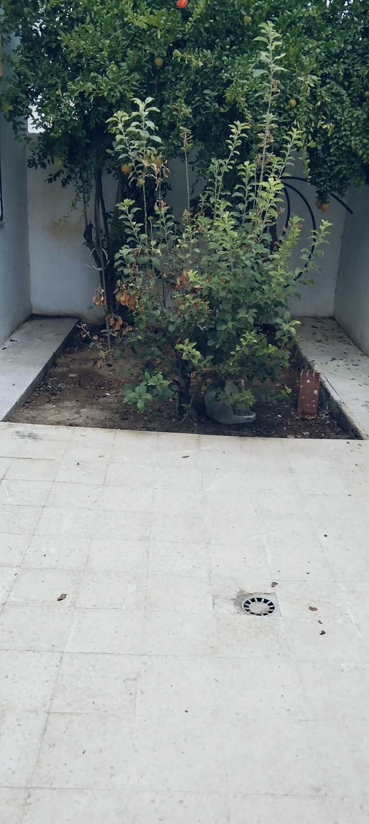 Photo 1 of 10