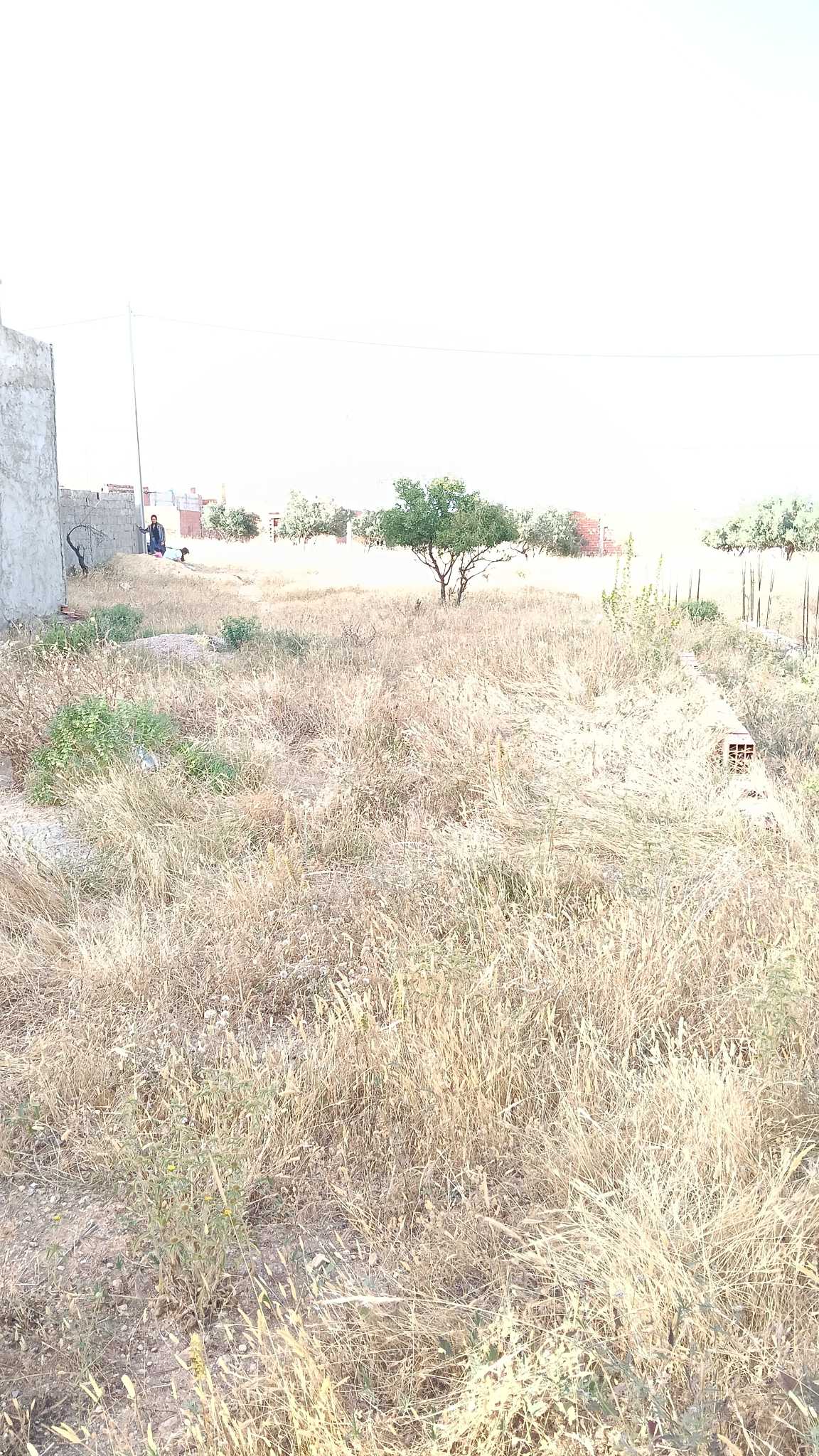Photo 1 of 1
