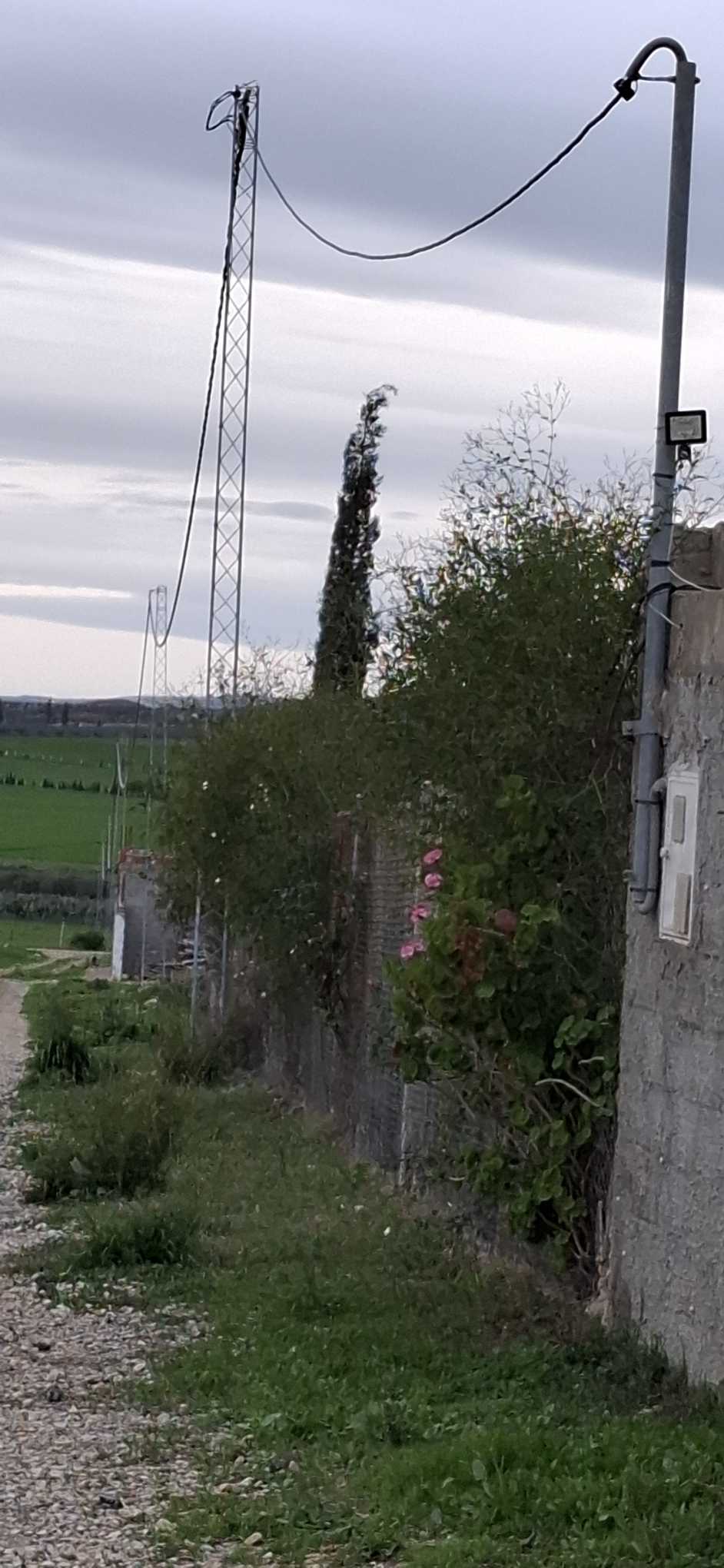 تقوا المزوغى
