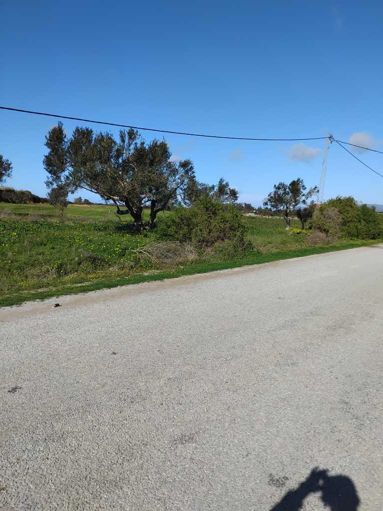 Photo 1 of 8