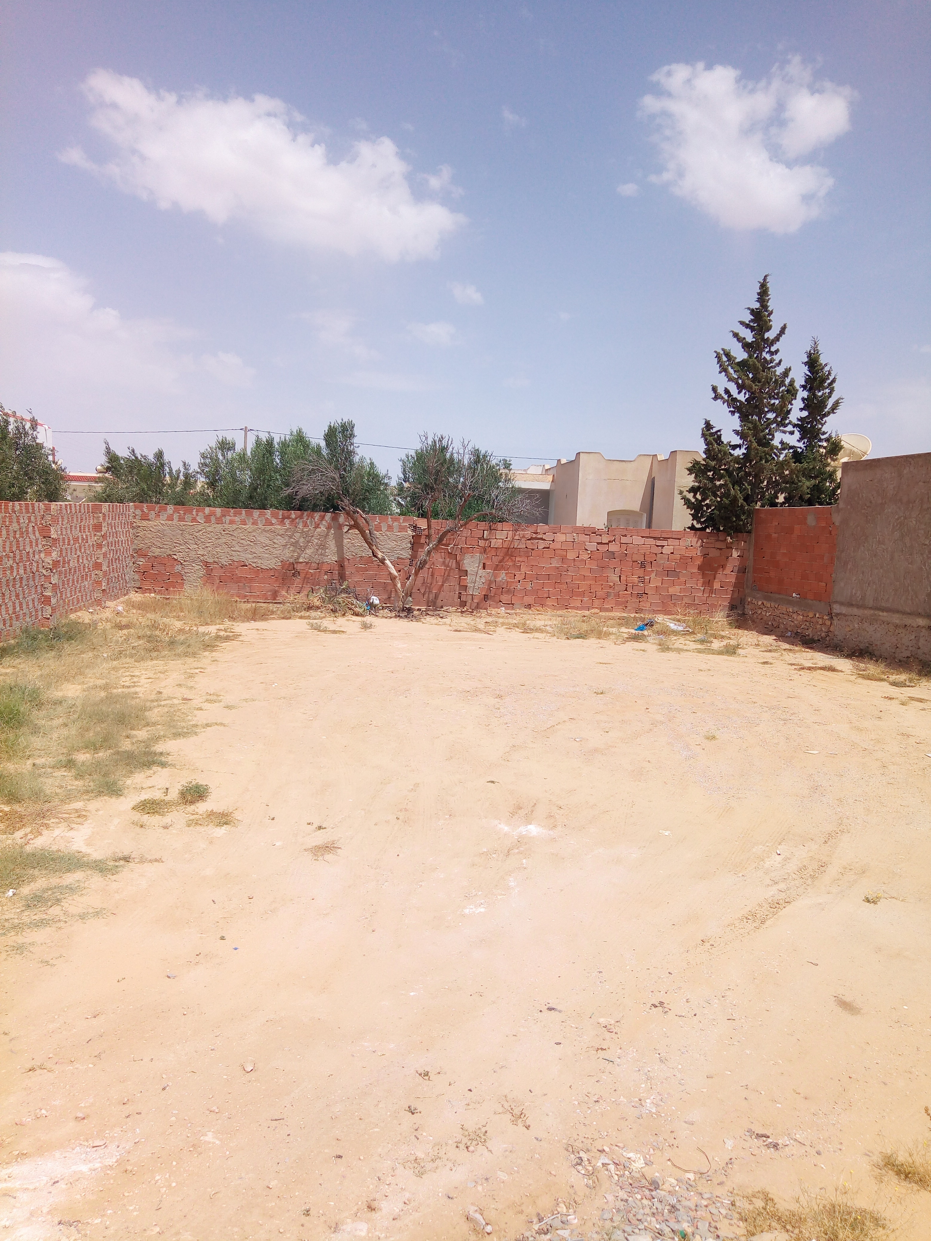 هادي