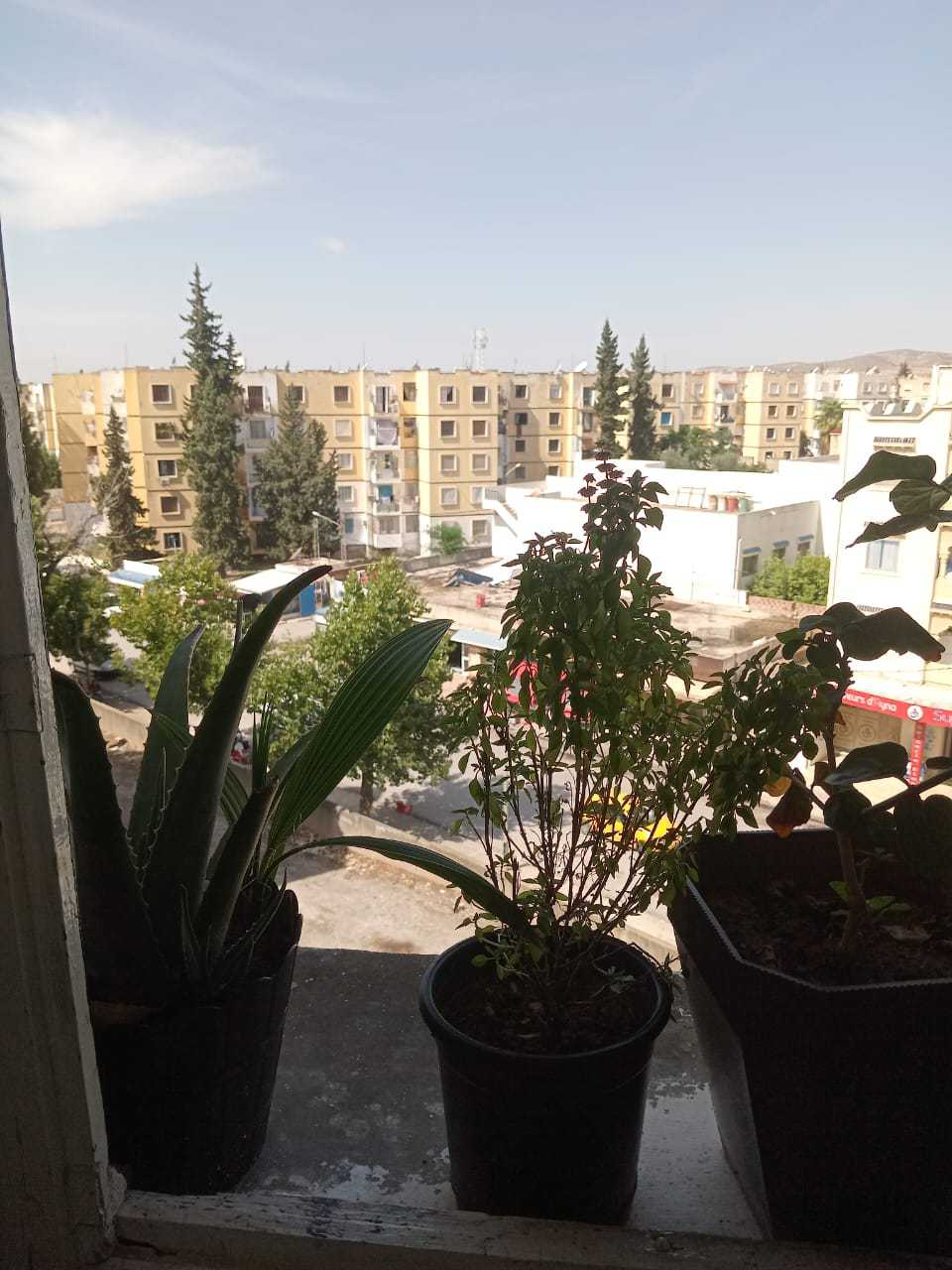 Photo 1 of 10