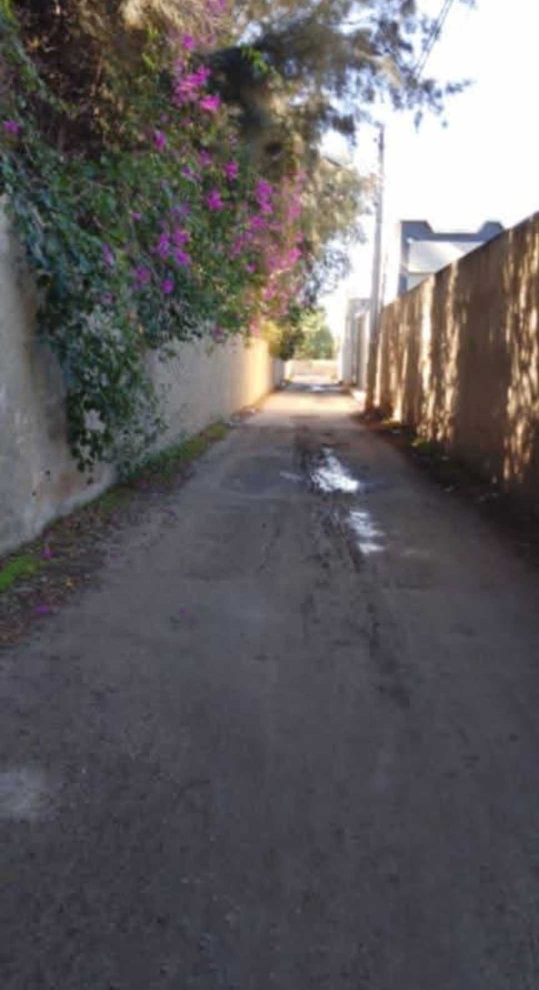 Photo 1 of 7