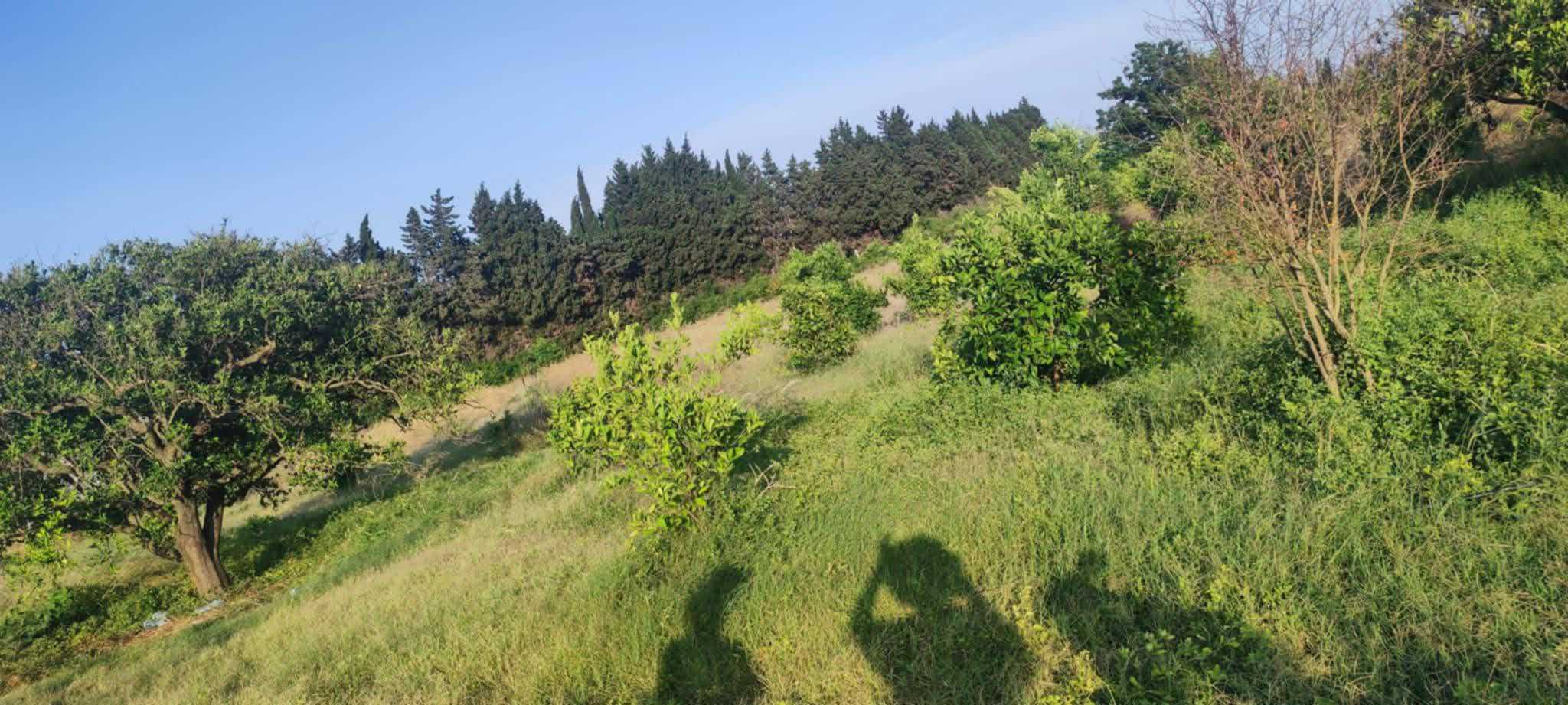 Photo 1 of 6