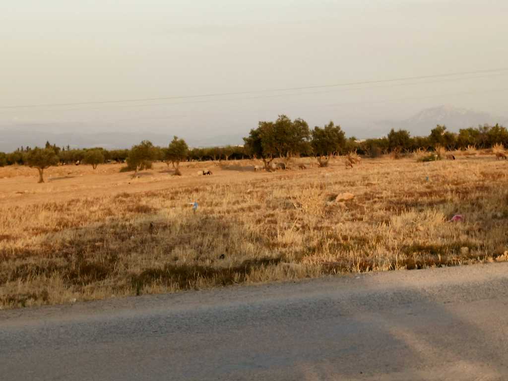 Photo 1 of 4