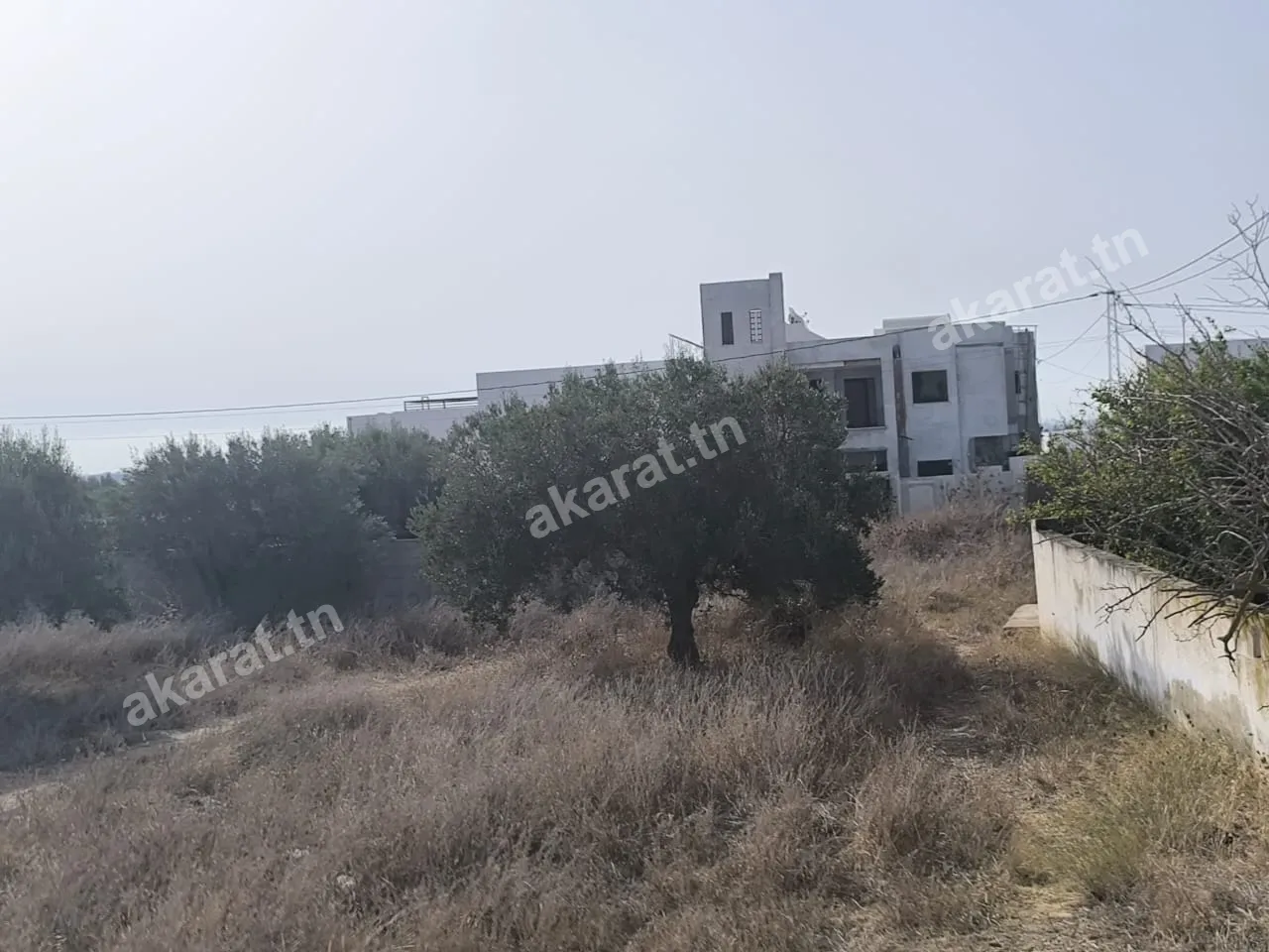 Photo 1 of 1