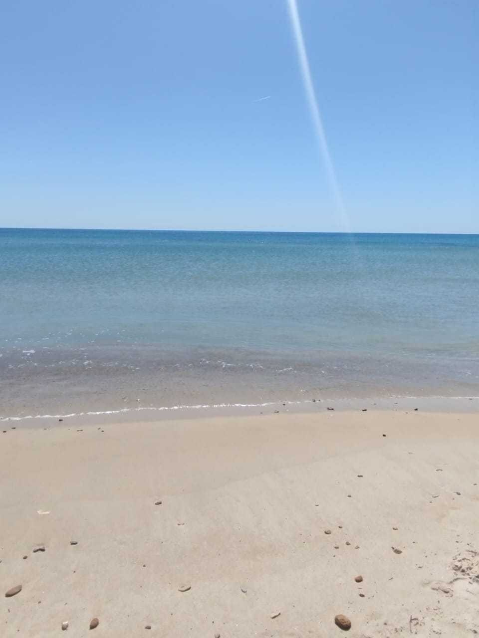 Photo 1 of 1